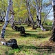 Радищевский район 22